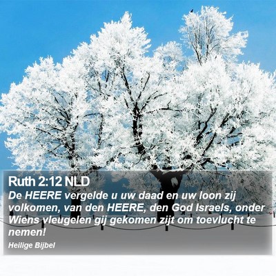 Ruth 2:12 NLD Bible Verse Image