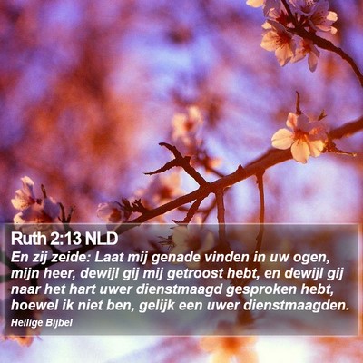 Ruth 2:13 NLD Bible Verse Image