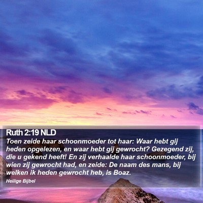Ruth 2:19 NLD Bible Verse Image