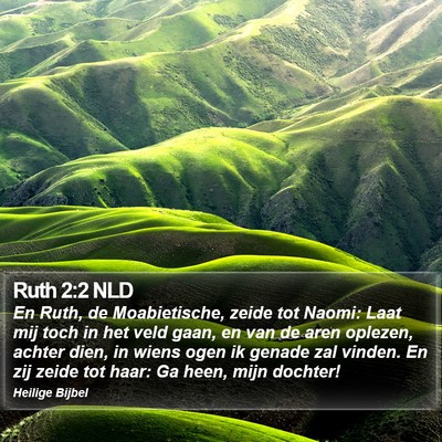 Ruth 2:2 NLD Bible Verse Image
