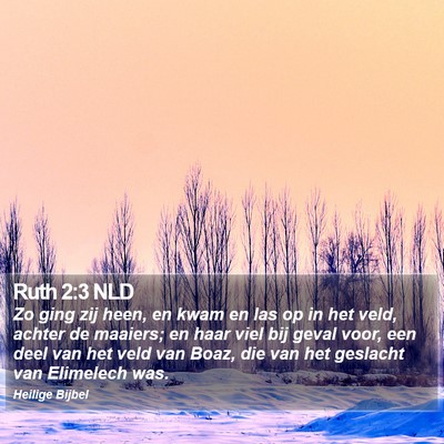 Ruth 2:3 NLD Bible Verse Image