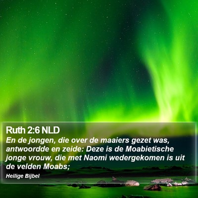 Ruth 2:6 NLD Bible Verse Image