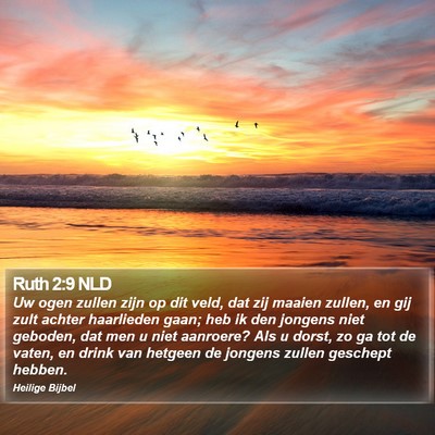 Ruth 2:9 NLD Bible Verse Image