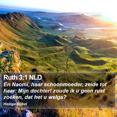 Ruth 3:1 NLD Bible Verse Image