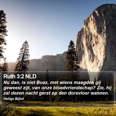 Ruth 3:2 NLD Bible Verse Image