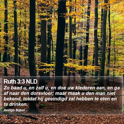 Ruth 3:3 NLD Bible Verse Image
