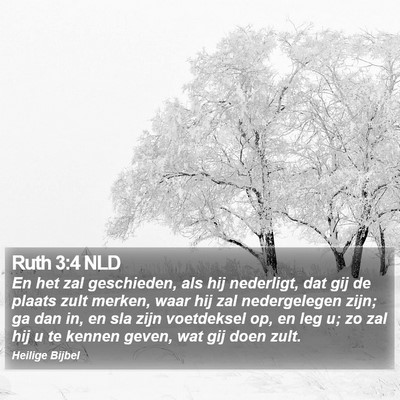 Ruth 3:4 NLD Bible Verse Image