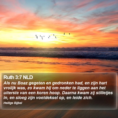 Ruth 3:7 NLD Bible Verse Image