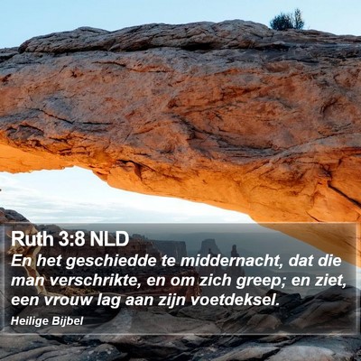 Ruth 3:8 NLD Bible Verse Image