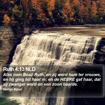 Ruth 4:13 NLD Bible Verse Image