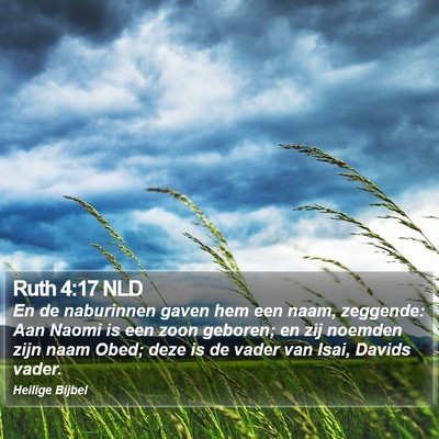 Ruth 4:17 NLD Bible Verse Image