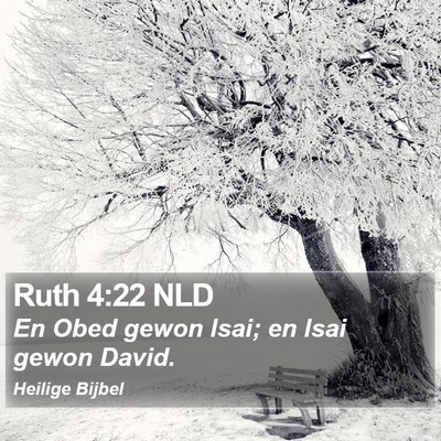 Ruth 4:22 NLD Bible Verse Image