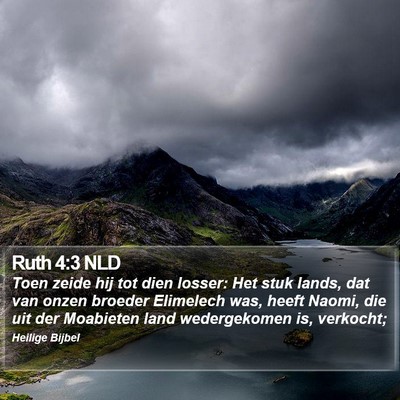 Ruth 4:3 NLD Bible Verse Image