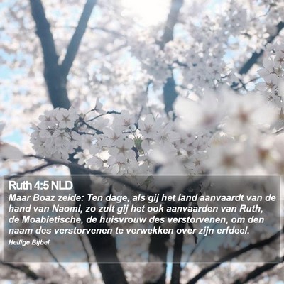 Ruth 4:5 NLD Bible Verse Image