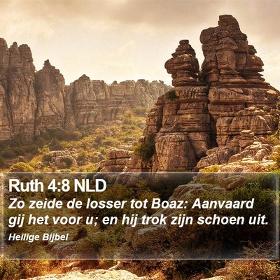 Ruth 4:8 NLD Bible Verse Image