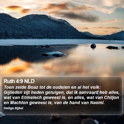 Ruth 4:9 NLD Bible Verse Image