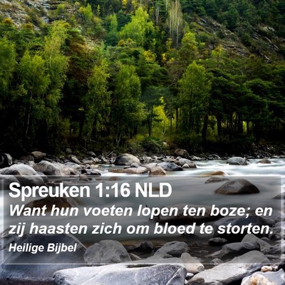 Spreuken 1:16 NLD Bible Verse Image