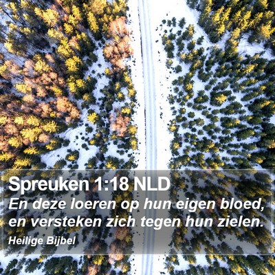 Spreuken 1:18 NLD Bible Verse Image
