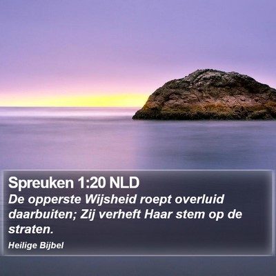 Spreuken 1:20 NLD Bible Verse Image