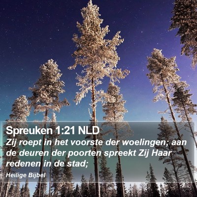 Spreuken 1:21 NLD Bible Verse Image