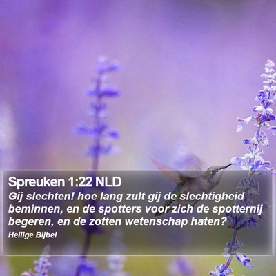 Spreuken 1:22 NLD Bible Verse Image