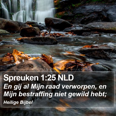 Spreuken 1:25 NLD Bible Verse Image