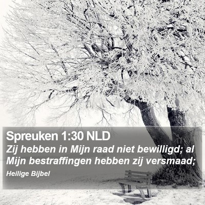 Spreuken 1:30 NLD Bible Verse Image