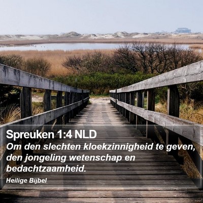 Spreuken 1:4 NLD Bible Verse Image