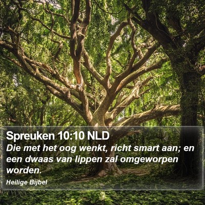 Spreuken 10:10 NLD Bible Verse Image
