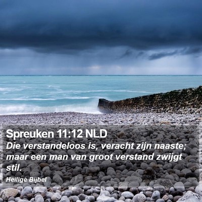 Spreuken 11:12 NLD Bible Verse Image