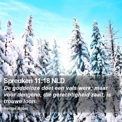 Spreuken 11:18 NLD Bible Verse Image