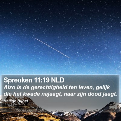 Spreuken 11:19 NLD Bible Verse Image