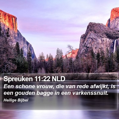 Spreuken 11:22 NLD Bible Verse Image