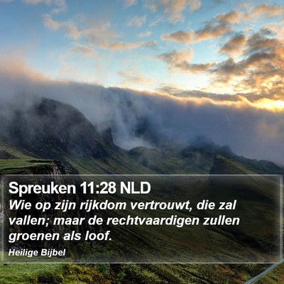 Spreuken 11:28 NLD Bible Verse Image