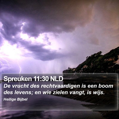 Spreuken 11:30 NLD Bible Verse Image