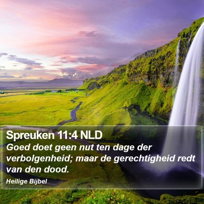 Spreuken 11:4 NLD Bible Verse Image