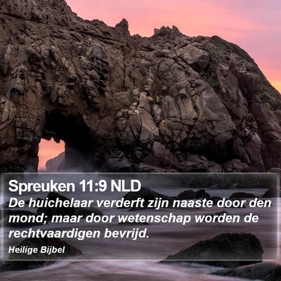 Spreuken 11:9 NLD Bible Verse Image