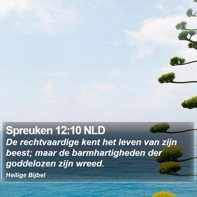 Spreuken 12:10 NLD Bible Verse Image