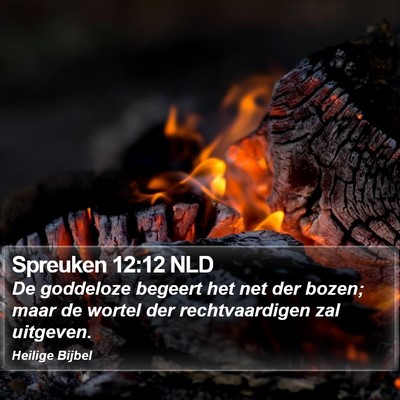 Spreuken 12:12 NLD Bible Verse Image