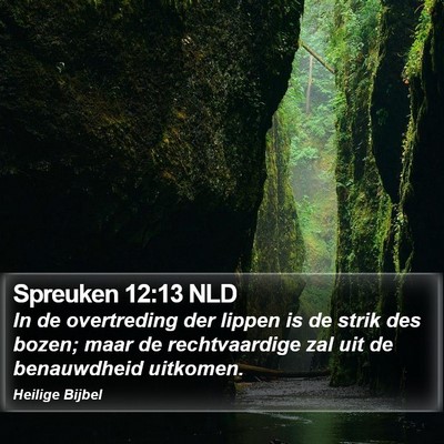 Spreuken 12:13 NLD Bible Verse Image