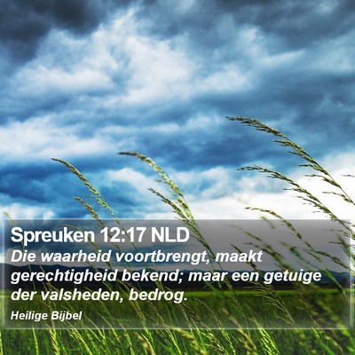 Spreuken 12:17 NLD Bible Verse Image