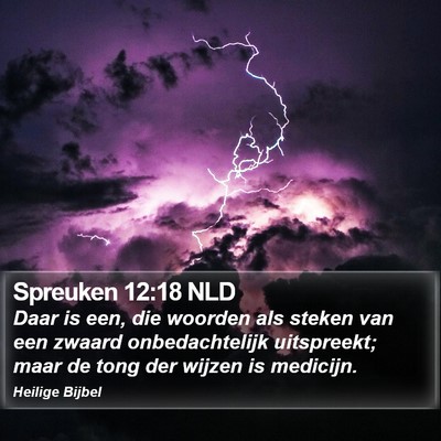 Spreuken 12:18 NLD Bible Verse Image