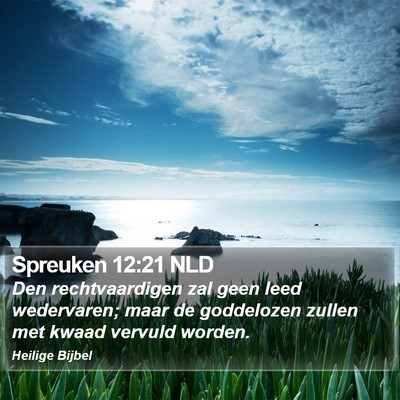 Spreuken 12:21 NLD Bible Verse Image