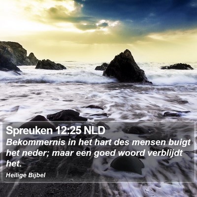 Spreuken 12:25 NLD Bible Verse Image