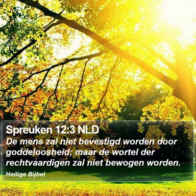 Spreuken 12:3 NLD Bible Verse Image