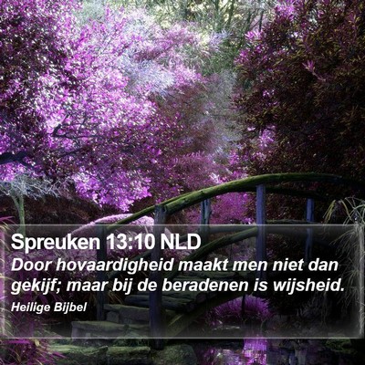 Spreuken 13:10 NLD Bible Verse Image