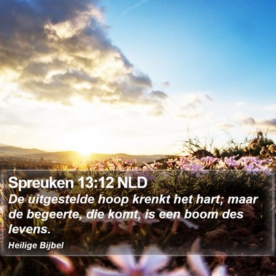 Spreuken 13:12 NLD Bible Verse Image