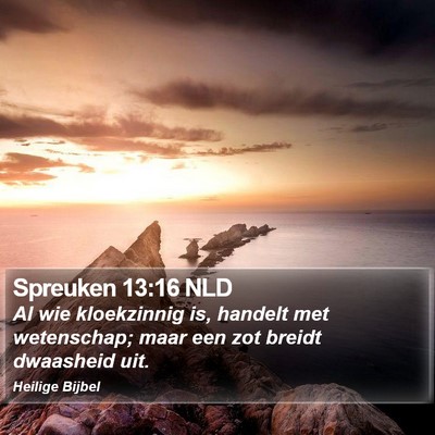 Spreuken 13:16 NLD Bible Verse Image