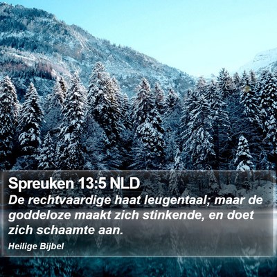 Spreuken 13:5 NLD Bible Verse Image