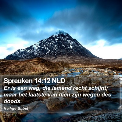 Spreuken 14:12 NLD Bible Verse Image